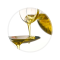 löffel mit Fett Image