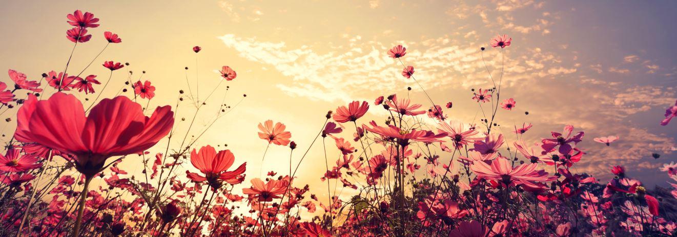 Spring3